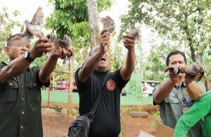 f-Petugas BKSDA Kementerian Kehutanan Jawa Barat dan Kepolisian Sektor Kawasan Pelabuhan Merak melepas ribuan burung di kawasan Gunung Sari kemarin-ildhan satelitnews