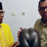 f- Wakil Walikota Tangerang Selatan Benyamin Davnie memegang fosil kelapa milik Nasir. Sepintas, kelapa ini mirip bokong wanita-pramitha t satelitnews