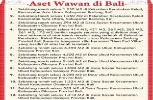 grafis-aset wawan di bali-wda satelitnews